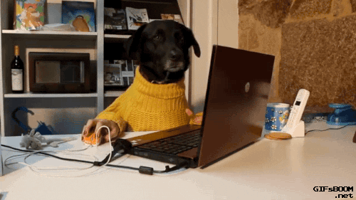 Um cachorro preto está de frente para um computador, em um mesa, e veste um casaco amarelo de lã. Porém, na manga, sai uma mão humana que mexe no mouse e depois brinca com uma caneta.