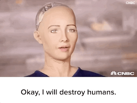 O robô Sophia, com feições humanas, falando 'Ok, vou destruir humanos' em uma entrevista.