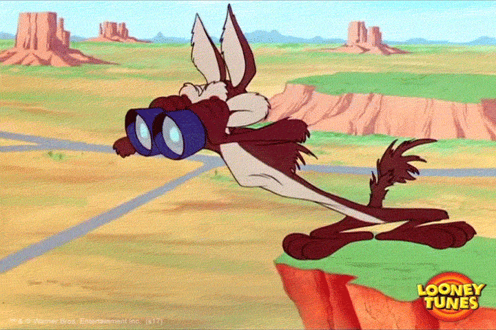 Imagem animada do personagem Coyote, da Looney Tunes, na beira de um precipício, procurando algo através de um binóculo.